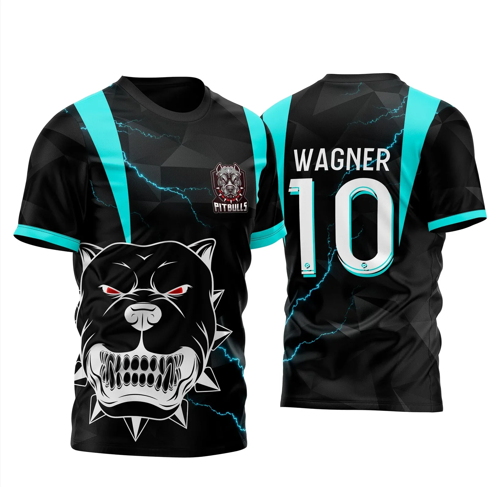 Camiseta unissex preta com logo no peito e estampa grande nas costas do Pitbull InterClasse 2025 em azul, estilo moderno para looks urbanos e amantes do tema esportivo.