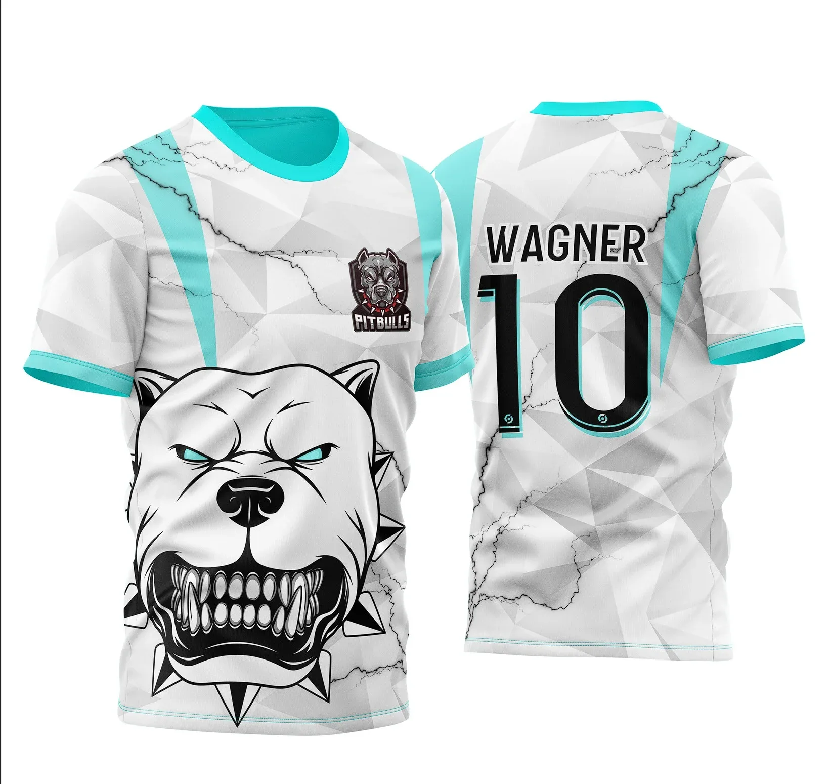 Camiseta unissex branca com logo no peito e estampa grande nas costas do InterClasse Pitbull 2025, destaca a combinação nas cores branca e azul, ideal para uso casual e eventos temáticos.